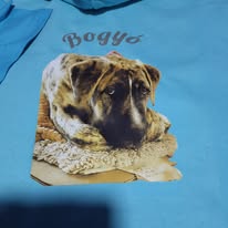 Kutyás fotós póló