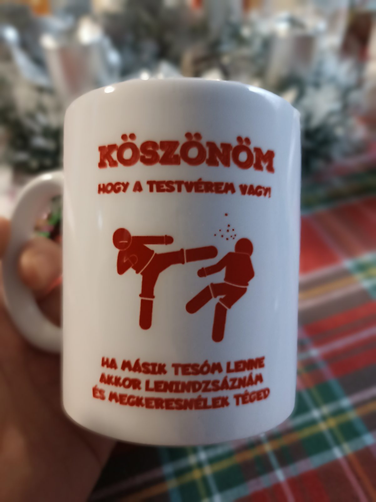 Köszönöm hogy a testvérem vagy karatés vicces bögre